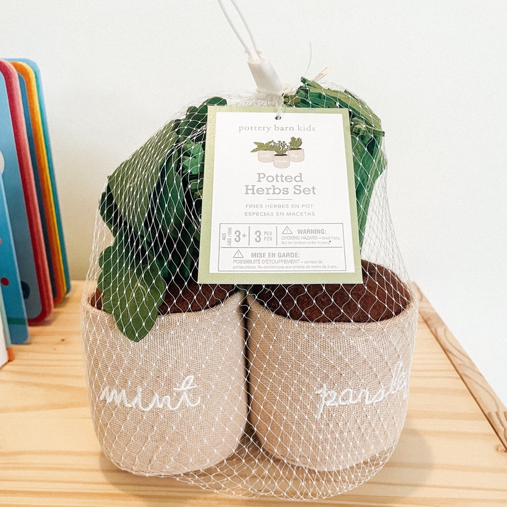 Pottery Barn Kids Potted Gardening Herbs